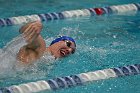 Swim vs Bentley  Wheaton College Swimming & Diving vs Bentley University. - Photo by Keith Nordstrom : Wheaton, Swimming & Diving